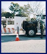 Officer Checking Vehicle